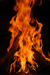 Similar image 592198