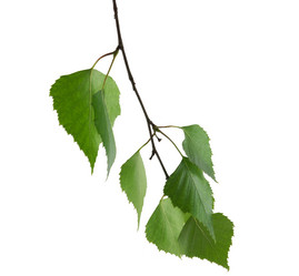 Similar image 592239