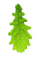 Similar image 592247