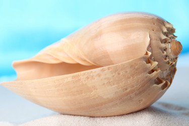 Similar image 592260