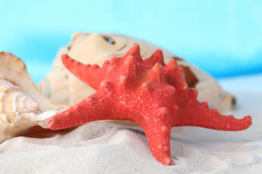 Similar image 592263