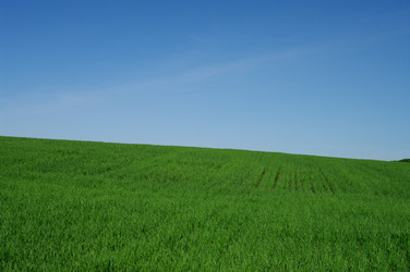 Similar image 592338