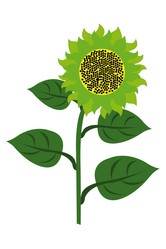 Similar image 592354