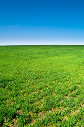 Similar image 592362