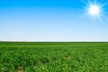 Similar image 592364