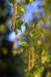 Similar image 592368