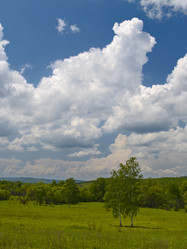 Similar image 592372