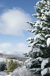 Similar image 592377