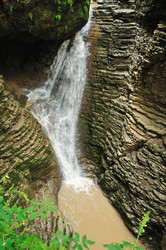 Similar image 592423