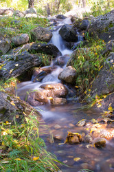 Similar image 592440