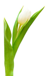 Similar image 592441