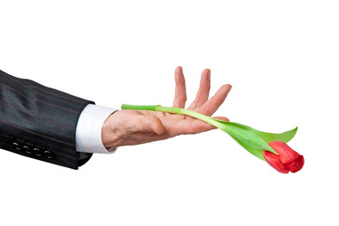 Similar image 592445