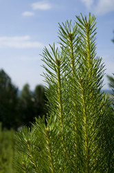 Similar image 592485