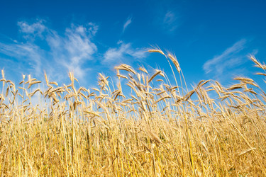 Similar image 592514