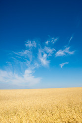 Similar image 592515