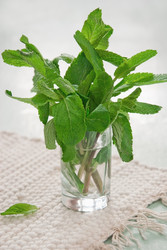 Similar image 592572