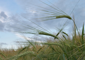 Similar image 592585