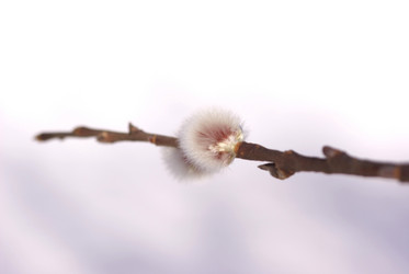 Similar image 592593