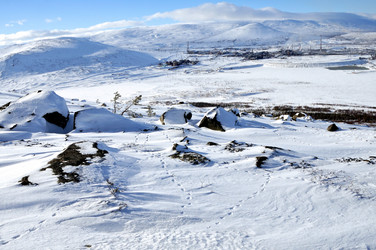 Similar image 592641