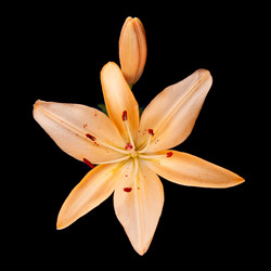 Similar image 592651