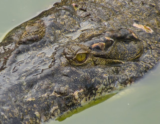 Similar image 592653