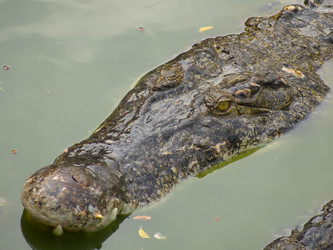 Similar image 592654