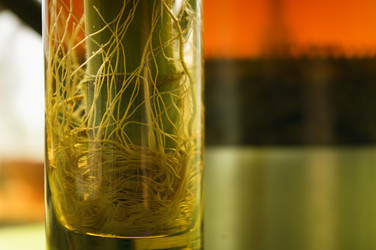 Similar image 592669