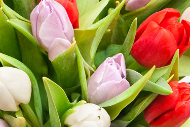 Similar image 592678