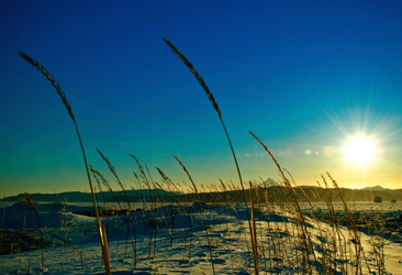 Similar image 592698