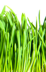 Similar image 592727