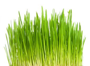 Similar image 592730