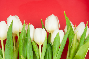 Similar image 592735