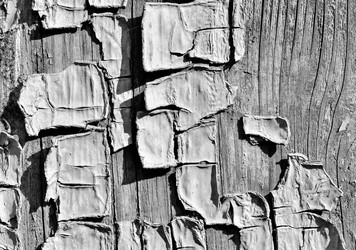 Similar image 592745