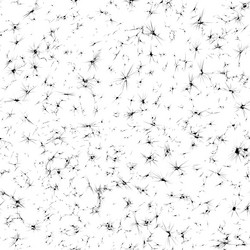 Similar image 592829