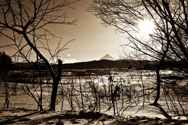 Similar image 592867