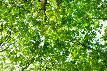 Similar image 592870