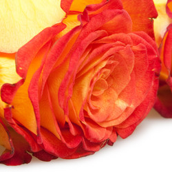 Similar image 592872