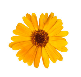 Similar image 592875