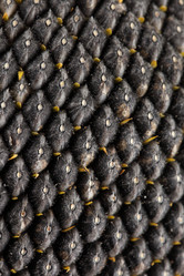 Similar image 592878