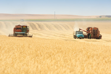 Similar image 592881