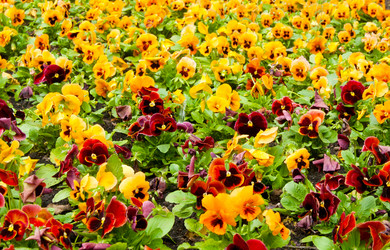 Similar image 592882