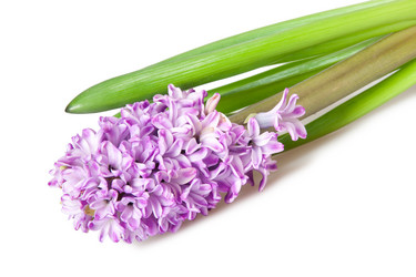 Similar image 592885