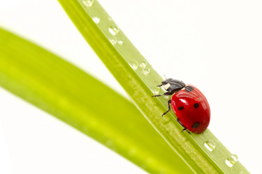 Similar image 592906