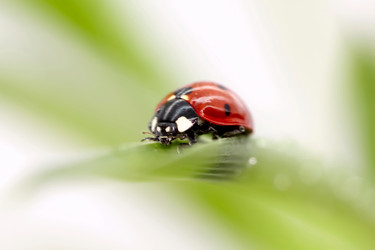 Similar image 592909