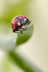 Similar image 592910