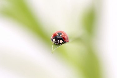 Similar image 592915