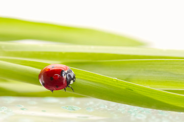 Similar image 592916