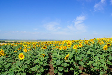 Similar image 592917