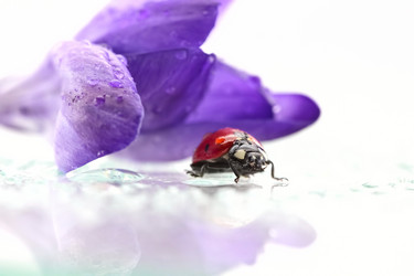 Similar image 592918