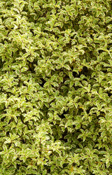 Similar image 592919